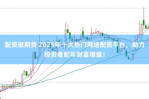 配资做期货 2025年十大热门网络配资平台，助力投资者蛇年财富增值！