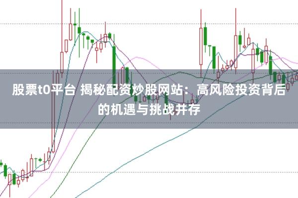 股票t0平台 揭秘配资炒股网站：高风险投资背后的机遇与挑战并存