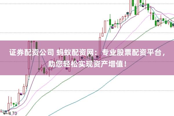 证券配资公司 蚂蚁配资网：专业股票配资平台，助您轻松实现资产增值！