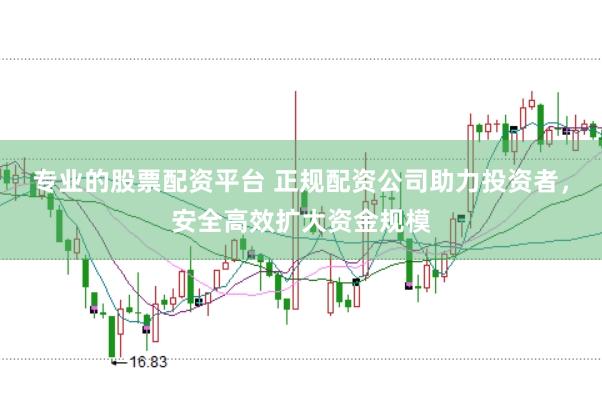 专业的股票配资平台 正规配资公司助力投资者，安全高效扩大资金规模