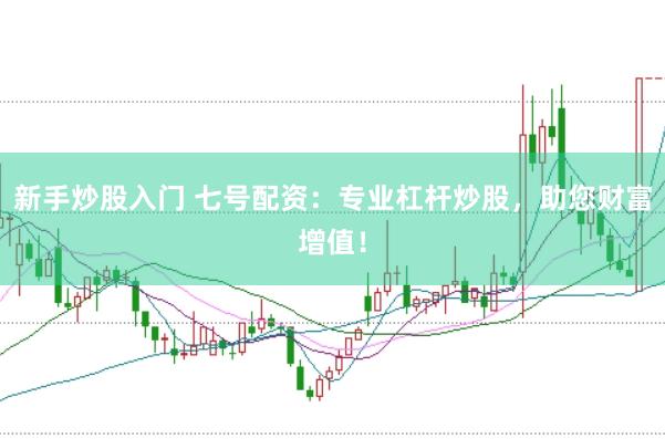 新手炒股入门 七号配资：专业杠杆炒股，助您财富增值！
