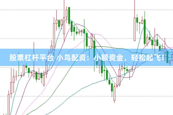 股票杠杆平台 小鸟配资：小额资金，轻松起飞！