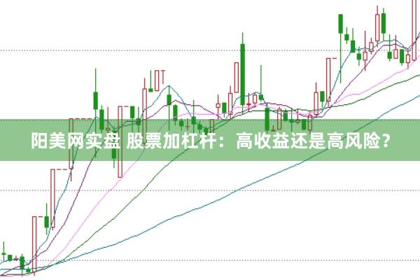 阳美网实盘 股票加杠杆：高收益还是高风险？