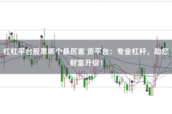 杠杠平台股票哪个最厉害 资平台：专业杠杆，助您财富升级！