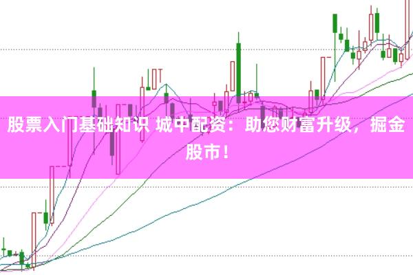股票入门基础知识 城中配资：助您财富升级，掘金股市！
