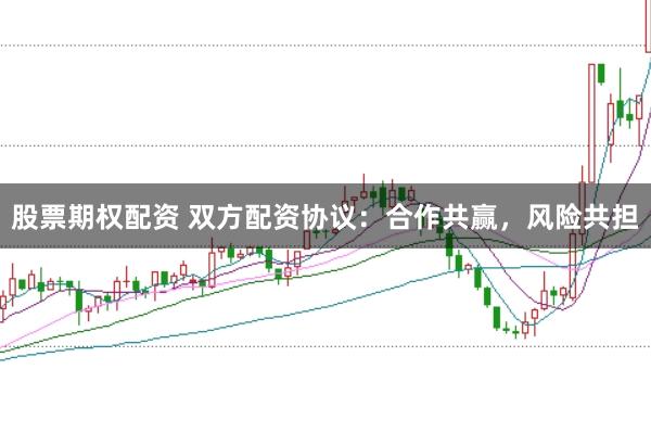 股票期权配资 双方配资协议：合作共赢，风险共担