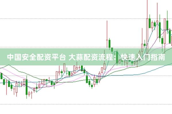 中国安全配资平台 大蒜配资流程：快速入门指南