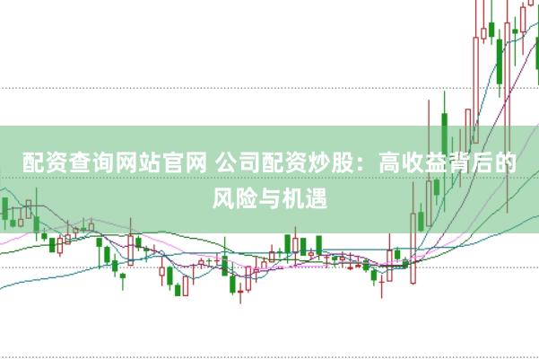 配资查询网站官网 公司配资炒股：高收益背后的风险与机遇