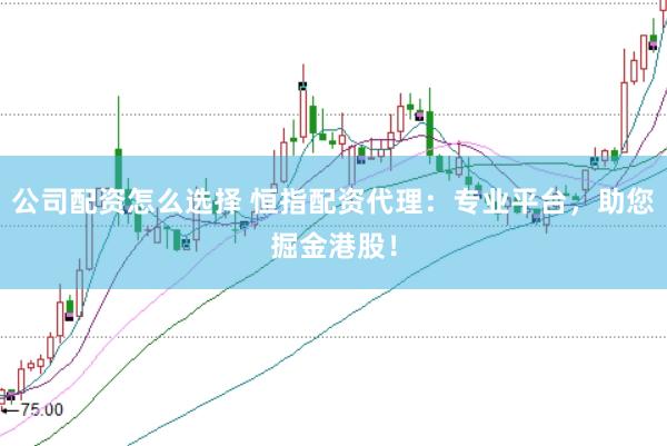 公司配资怎么选择 恒指配资代理：专业平台，助您掘金港股！