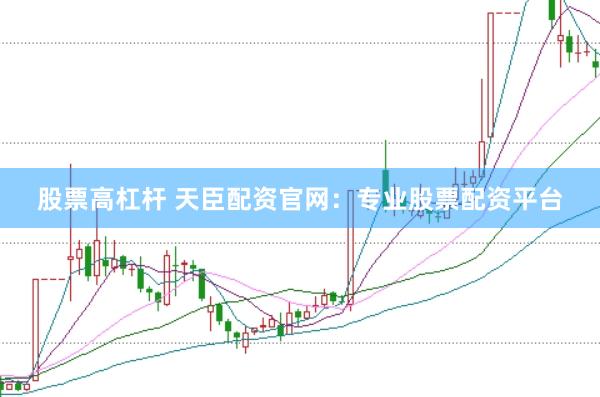 股票高杠杆 天臣配资官网：专业股票配资平台