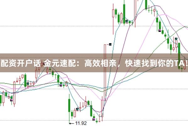 配资开户话 金元速配：高效相亲，快速找到你的TA！
