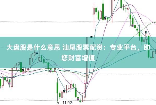 大盘股是什么意思 汕尾股票配资：专业平台，助您财富增值