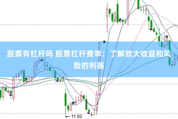 股票有杠杆吗 股票杠杆费率：了解放大收益和风险的利器