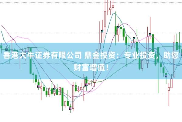 香港大牛证券有限公司 鼎金投资：专业投资，助您财富增值！