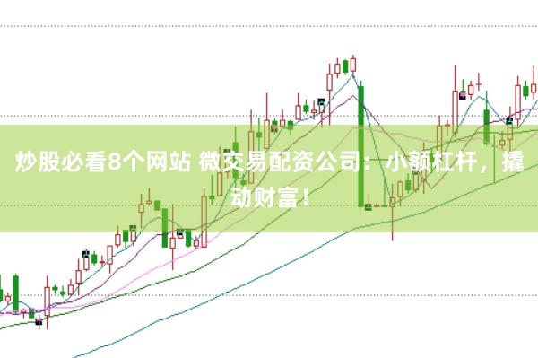 炒股必看8个网站 微交易配资公司：小额杠杆，撬动财富！
