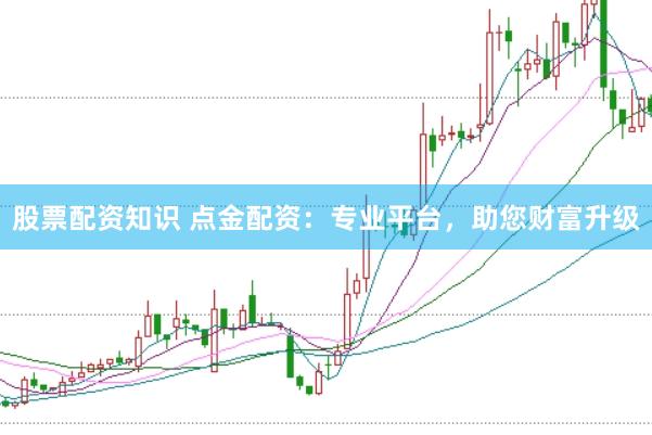 股票配资知识 点金配资：专业平台，助您财富升级